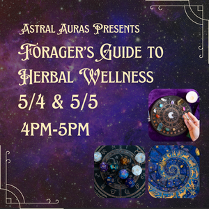 Forager’s Guide to Herbal Wellness