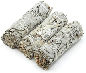 White Sage Sticks (1pk)